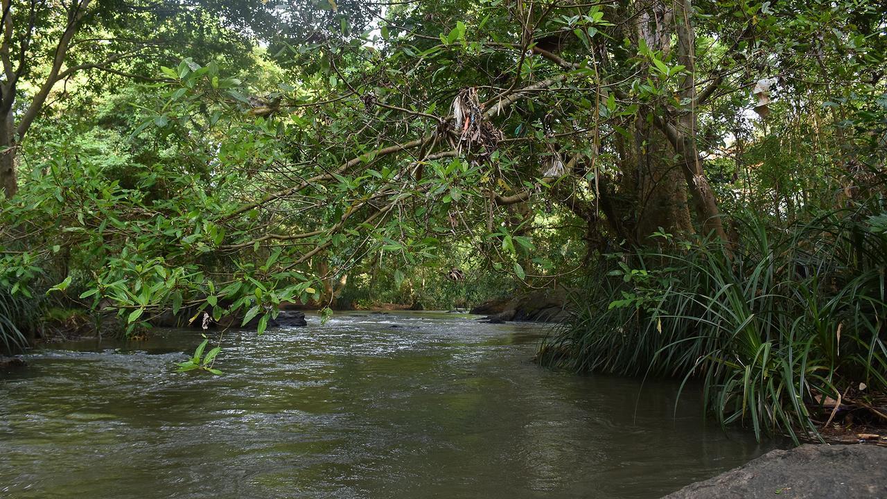 River Glamping By Gaga Bees Udawalawe Exterior photo